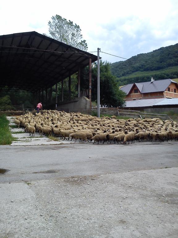 فندق Penzion Drienovkou Považská Bystrica المظهر الخارجي الصورة