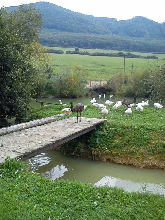 فندق Penzion Drienovkou Považská Bystrica المظهر الخارجي الصورة